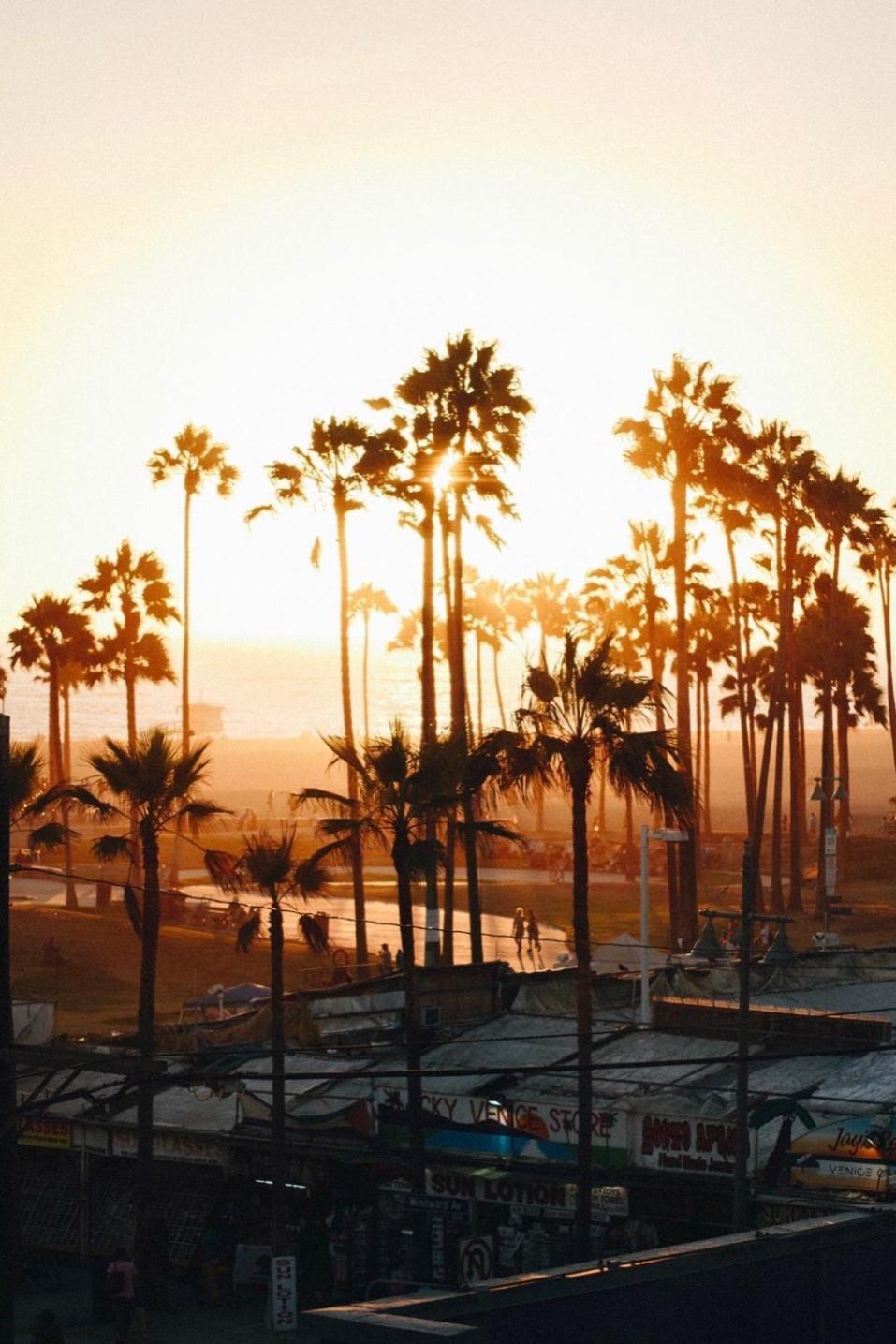 Venice Beach Studio With Large Private Patio Steps To The Beach Los Angeles Zewnętrze zdjęcie
