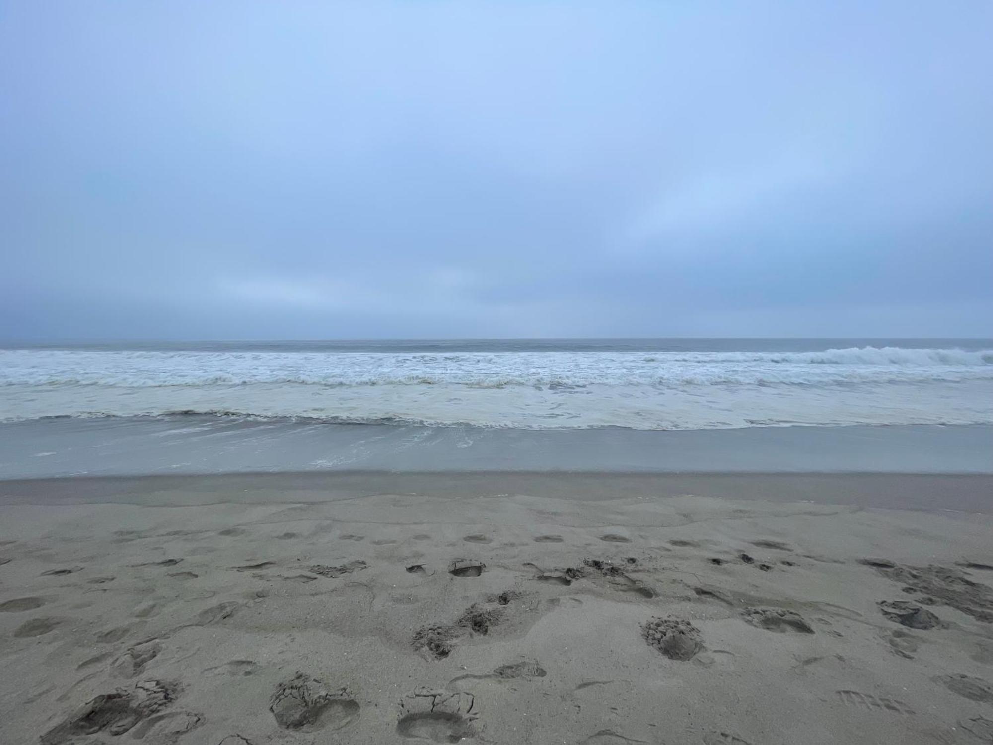 Venice Beach Studio With Large Private Patio Steps To The Beach Los Angeles Zewnętrze zdjęcie