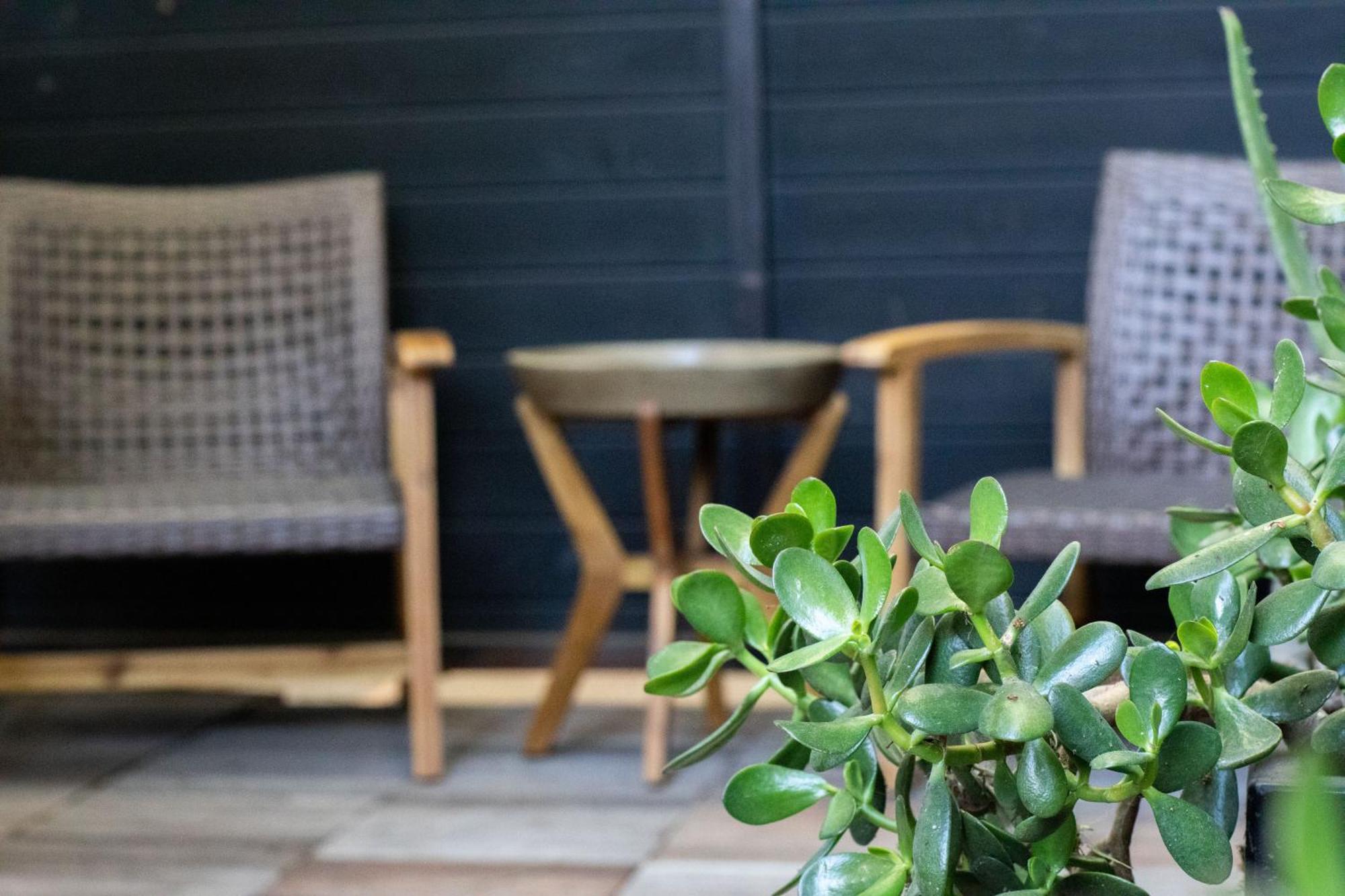 Venice Beach Studio With Large Private Patio Steps To The Beach Los Angeles Zewnętrze zdjęcie