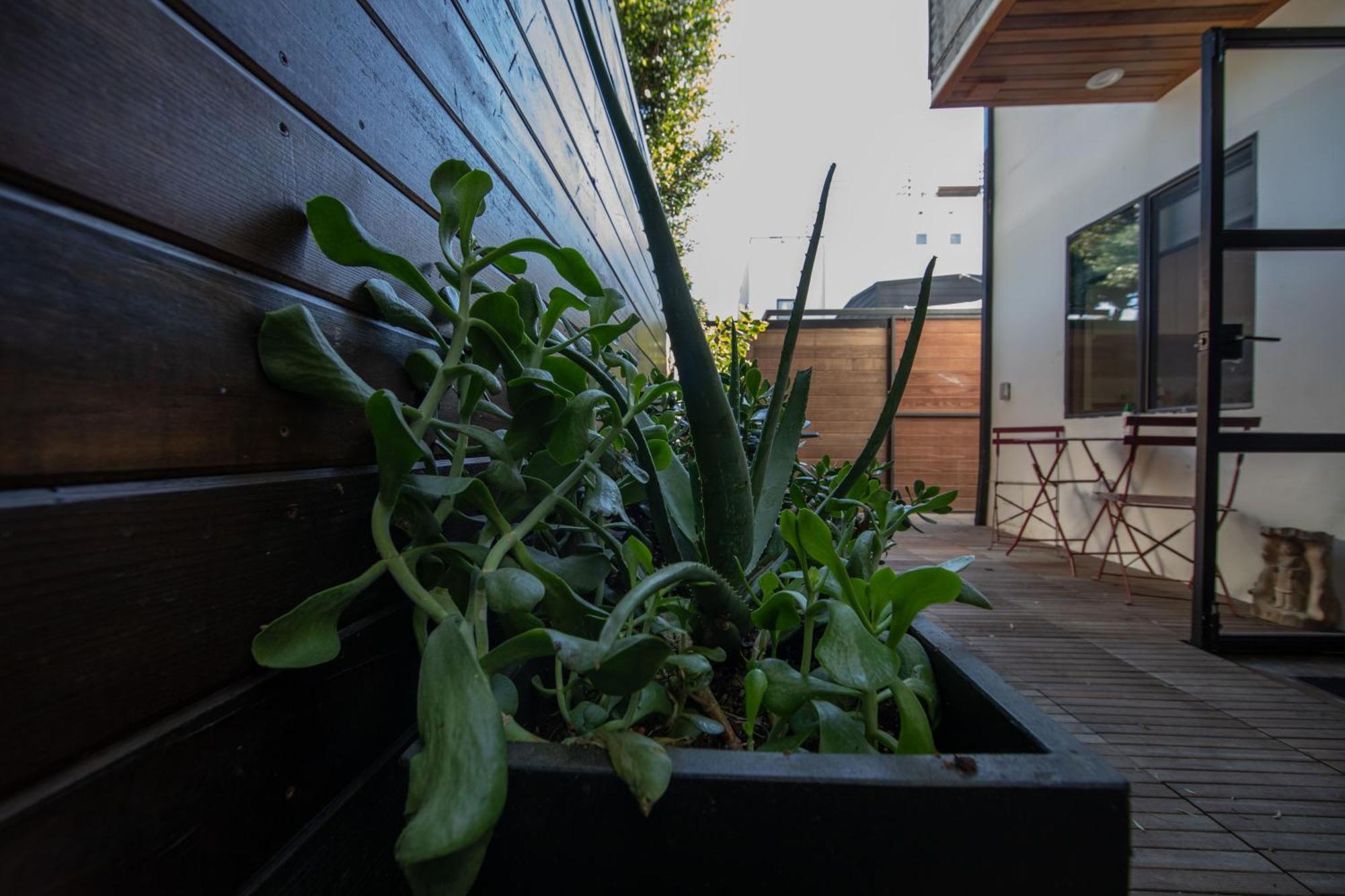 Venice Beach Studio With Large Private Patio Steps To The Beach Los Angeles Zewnętrze zdjęcie