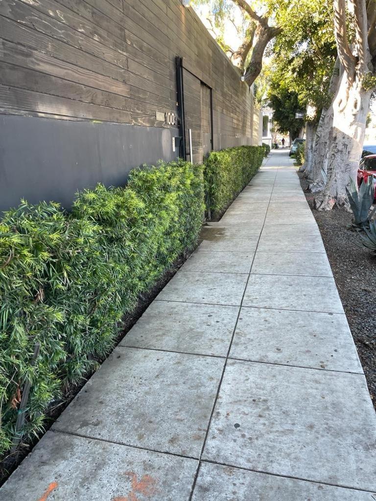 Venice Beach Studio With Large Private Patio Steps To The Beach Los Angeles Zewnętrze zdjęcie