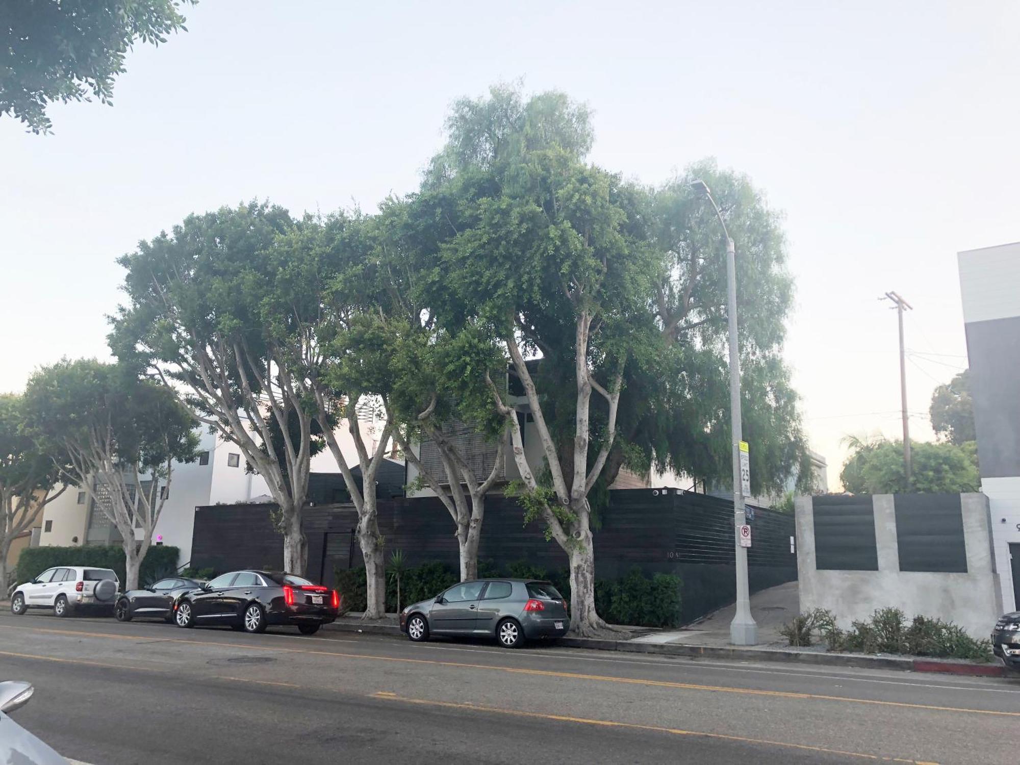 Venice Beach Studio With Large Private Patio Steps To The Beach Los Angeles Zewnętrze zdjęcie
