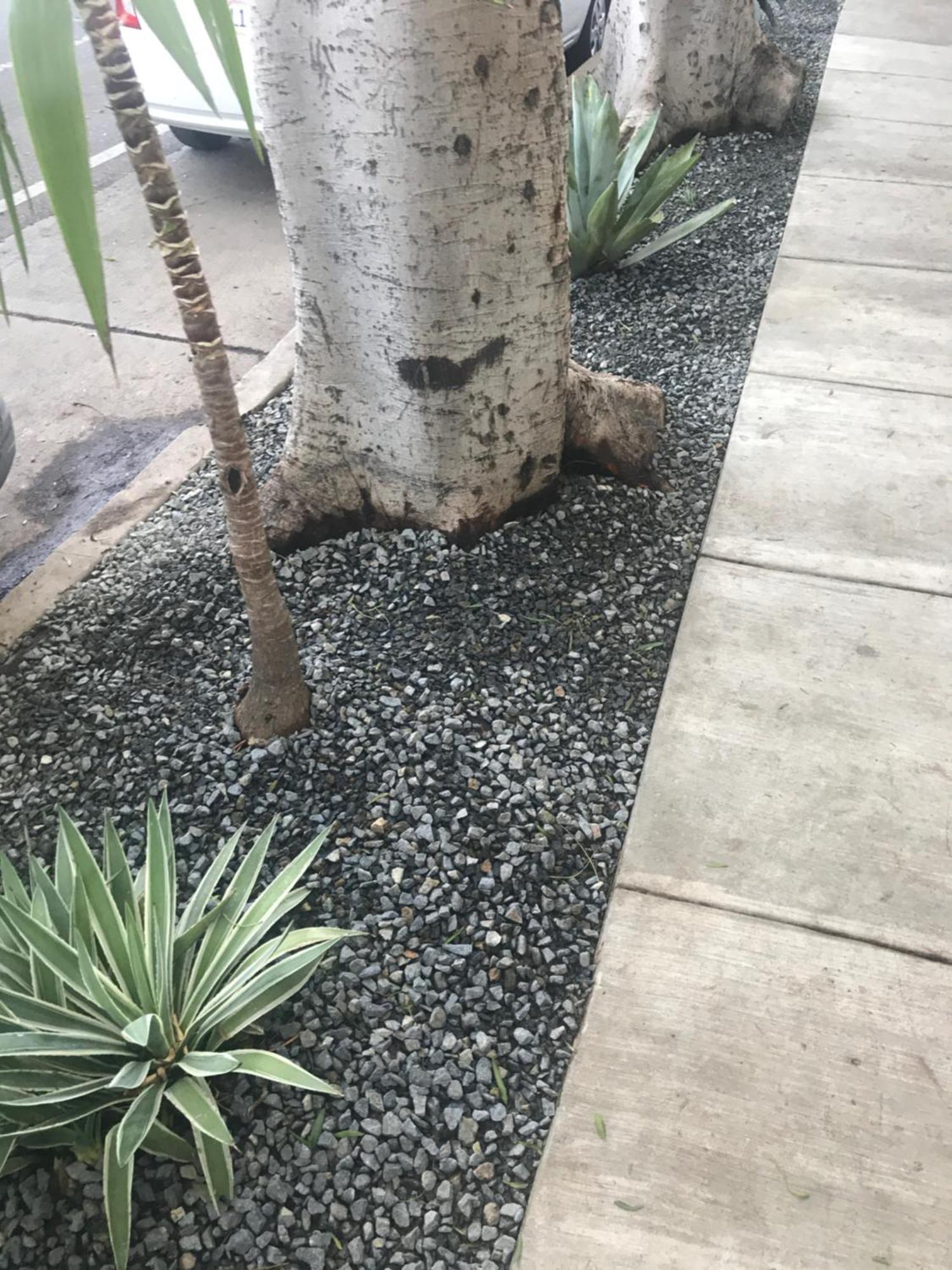 Venice Beach Studio With Large Private Patio Steps To The Beach Los Angeles Zewnętrze zdjęcie