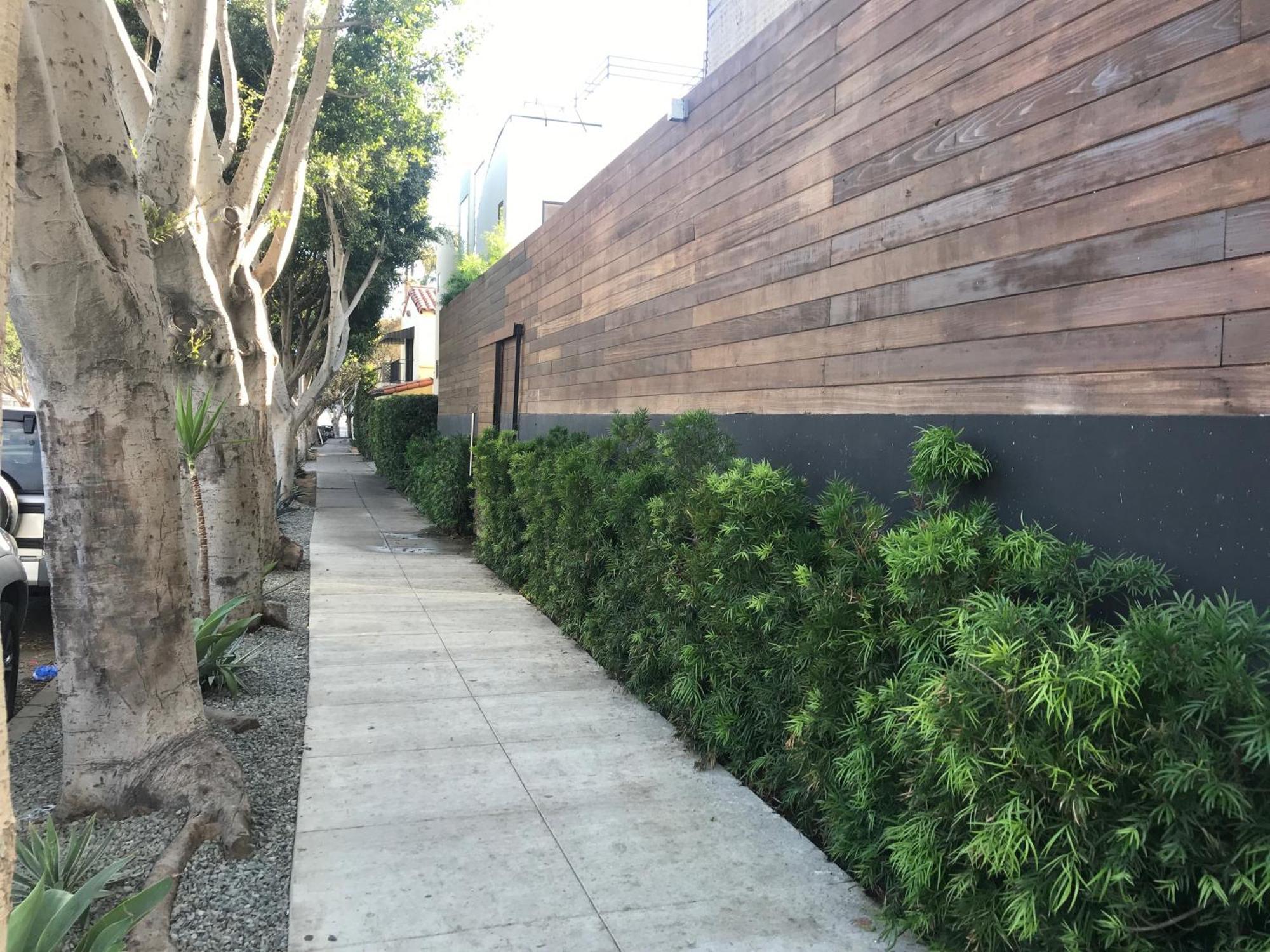 Venice Beach Studio With Large Private Patio Steps To The Beach Los Angeles Zewnętrze zdjęcie