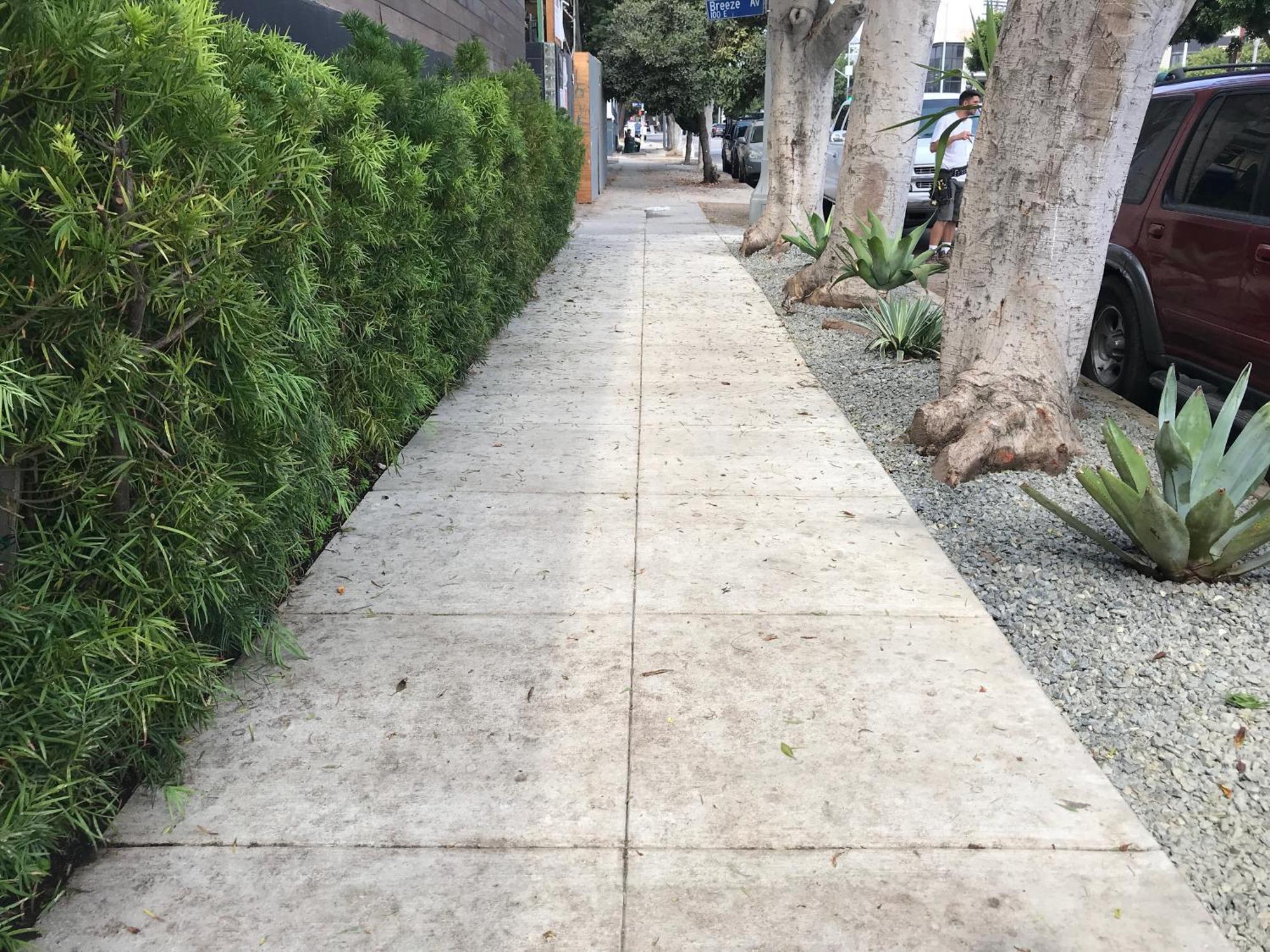 Venice Beach Studio With Large Private Patio Steps To The Beach Los Angeles Zewnętrze zdjęcie