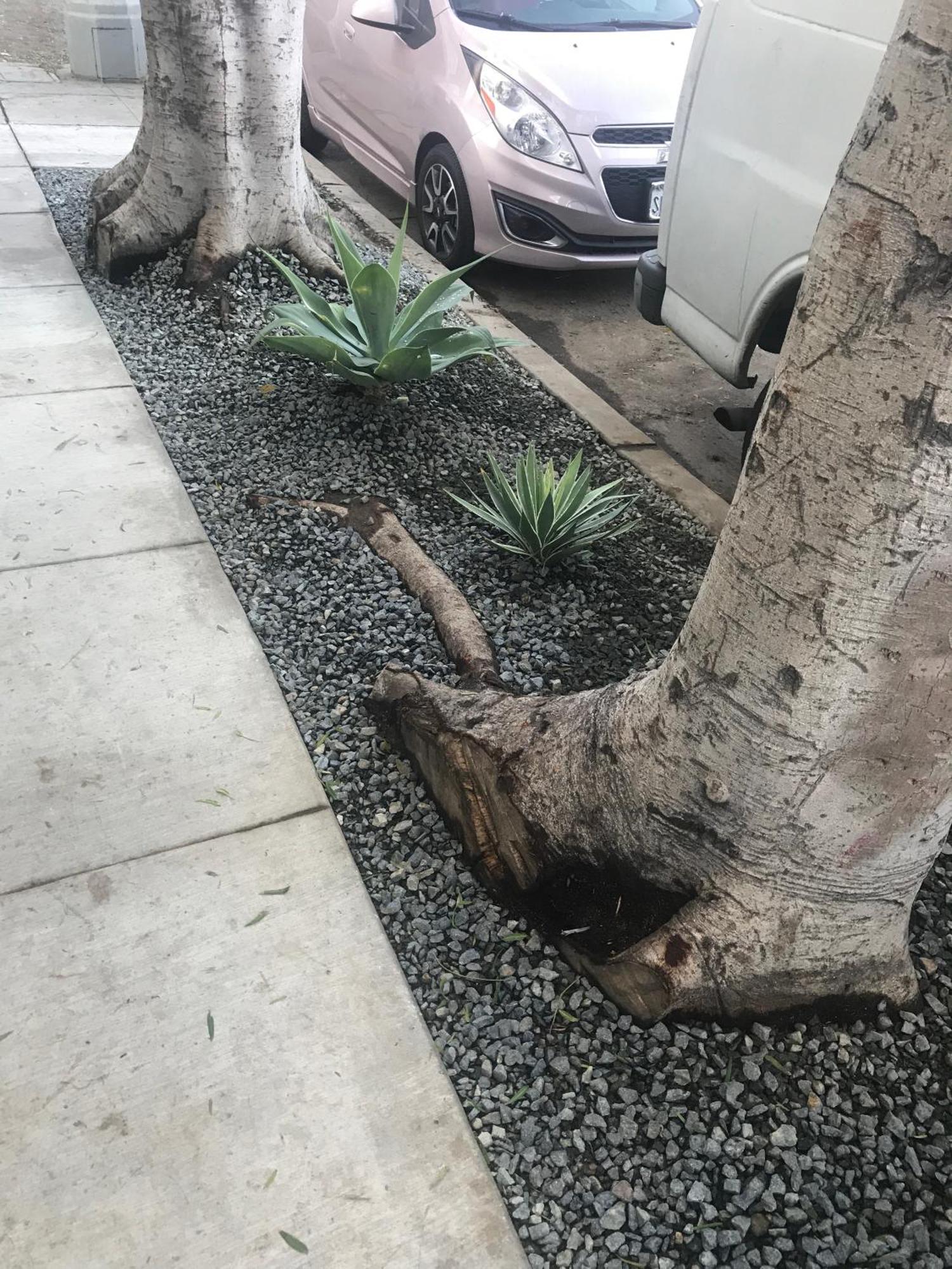 Venice Beach Studio With Large Private Patio Steps To The Beach Los Angeles Zewnętrze zdjęcie